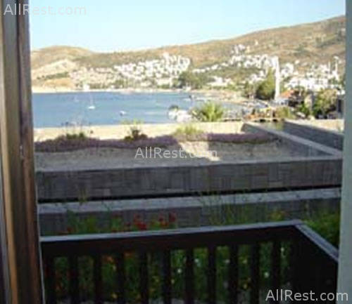 Costa Farilya Deluxe 16
